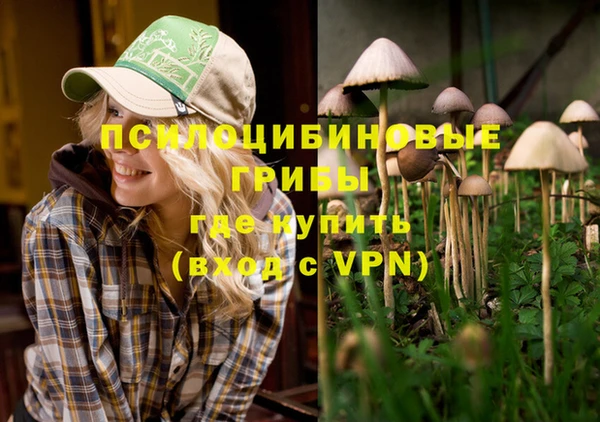 не бодяженный Алексин